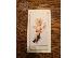PoulaTo: Apple Iphone 6s plus 128GB / Apple Iphone 6 Plus 128GB
